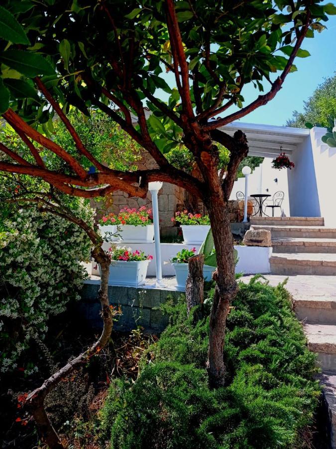 Casa L'Ulivariu Affittacamere San Teodoro  Exterior foto